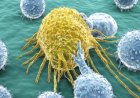 Ilmuwan Temukan Cara Baru Hancurkan Sel Kanker