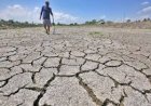 Dampak El Nino, 43 Bendungan Berkurang Volume Isinya