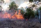 Karhutla di Muara Enim Dekati Pemukiman Warga