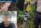 Teknik Kura Kura Atasi Cekik Mati