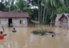 Sungai Meluap, Wilayah Aceh Selatan Dilanda Banjir